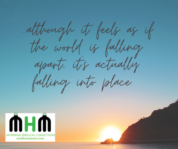 Anyone else out there feeling frustrated, or is it me?