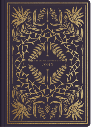 ESV Illuminated Scripture Journal : John