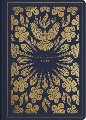 ESV Illuminated Scripture Journal : Acts